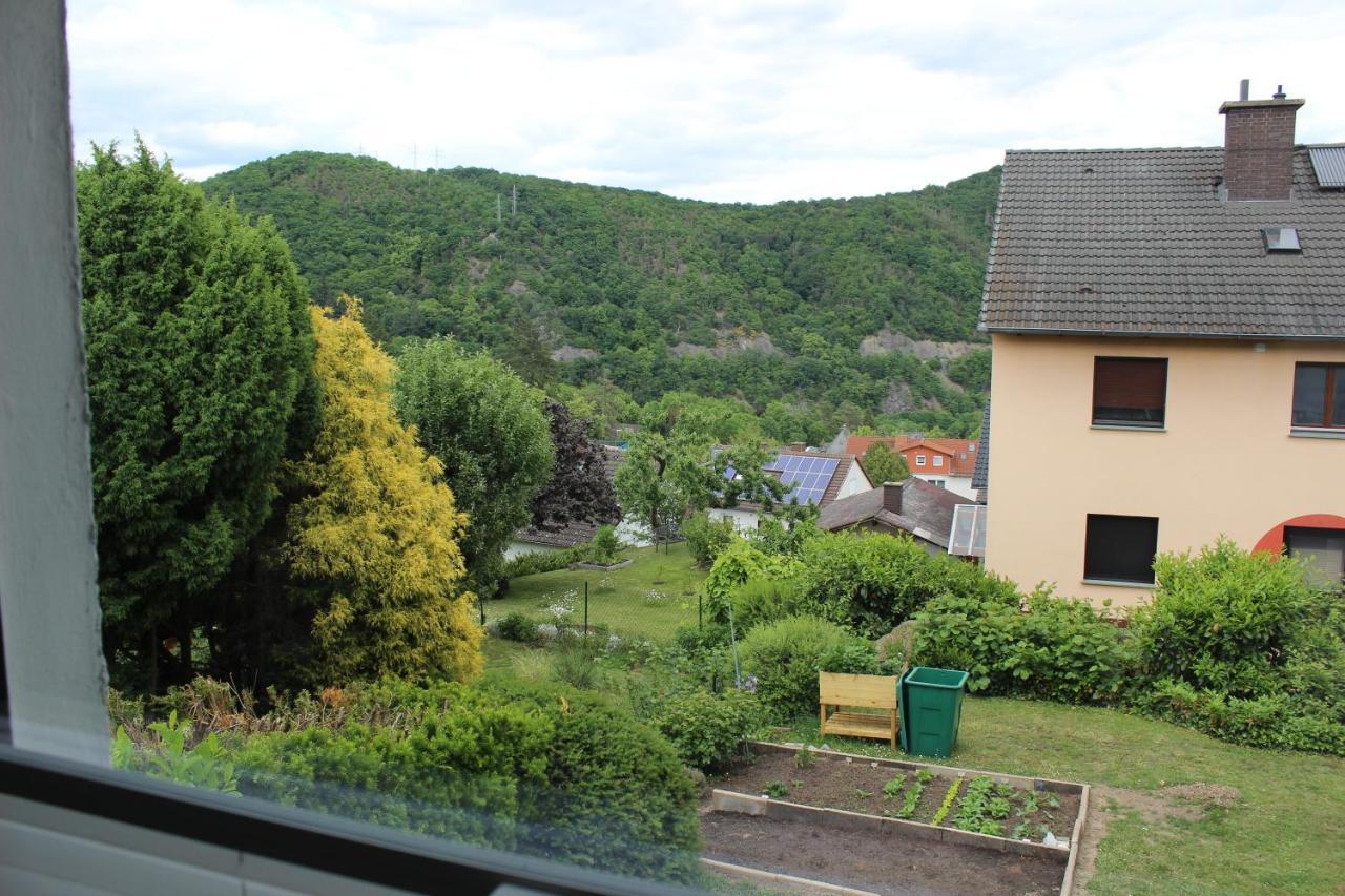 Ferienwohnung Zum Wildpark 埃德湖 外观 照片